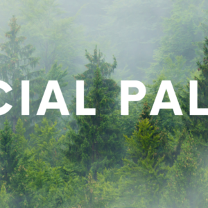 Palety specjalne