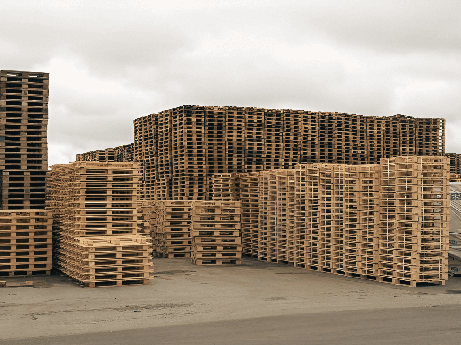 EUR pallets in a pallet warehouse