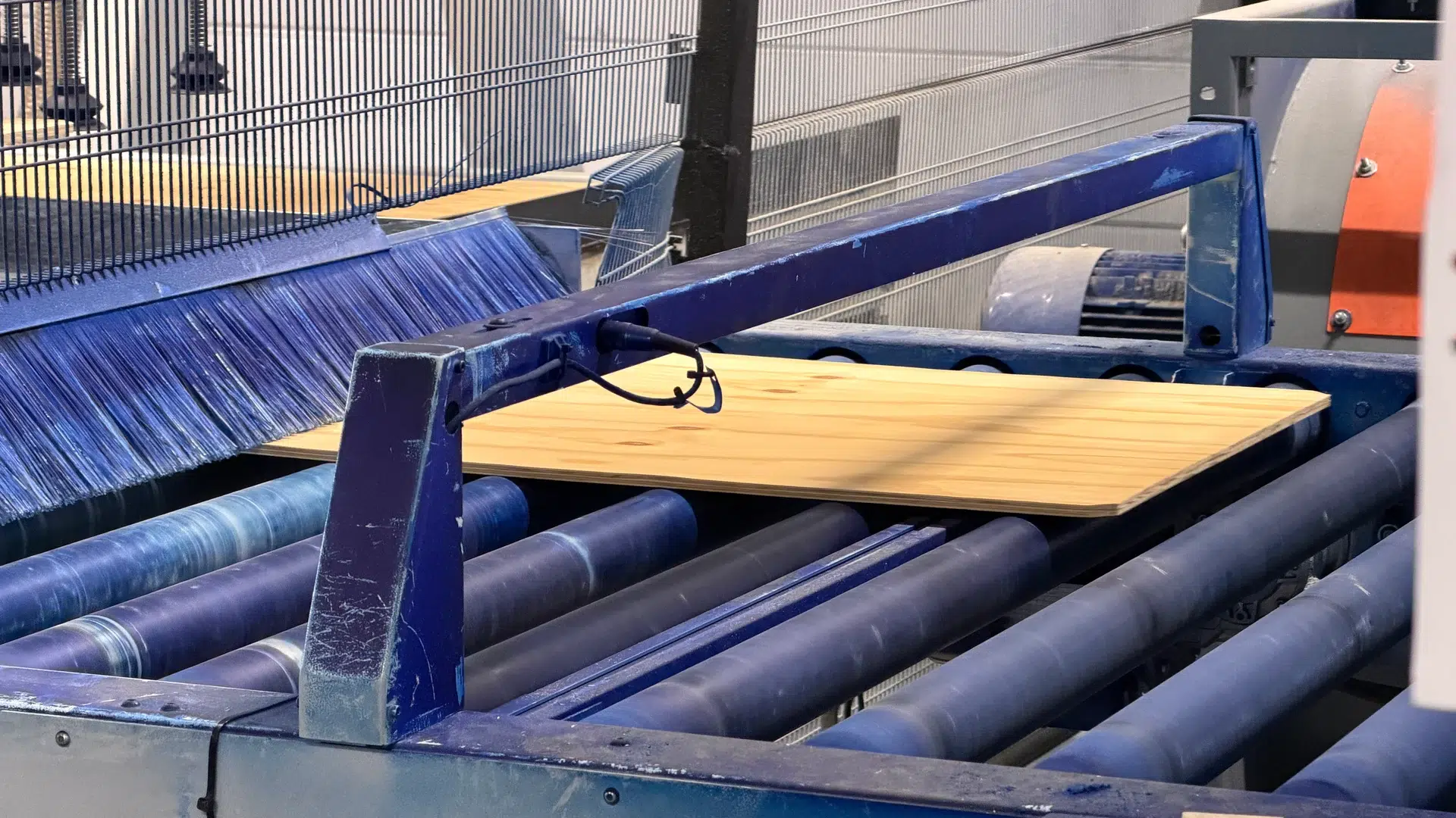 Plywood sheet on the roller conveyor at the painting line's infeed.